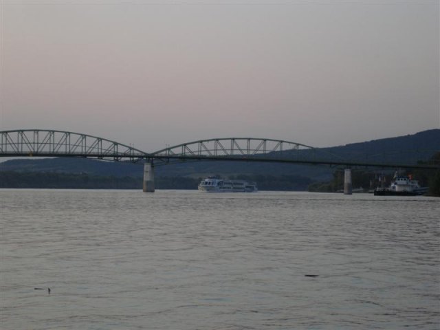 DSC05795 (Medium)